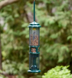 Squirrel Buster Nut Bird Feeder