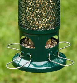 Squirrel Buster Standard Bird Feeder