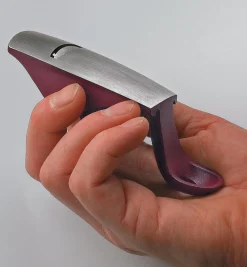 Squirrel-Tail Palm Planes