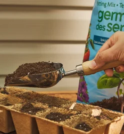 Stainless-Steel Mini Scoop