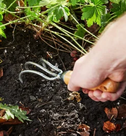 Start A Garden Bed Set