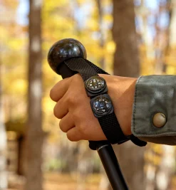 Telescoping Hiking Stick