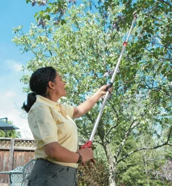Telescoping Long-Arm Pruner
