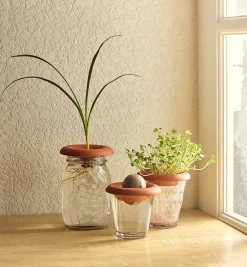 Terra Cotta Seed Sprouters