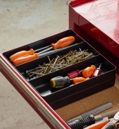 Three-Compartment Tray