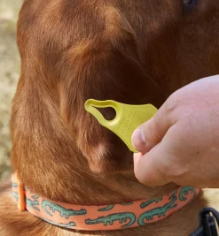 Tick Key Tick Remover