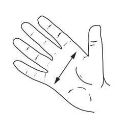 Totes For Veritas Custom Bench Planes