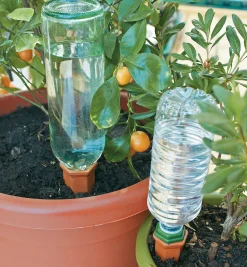 Watering Spikes