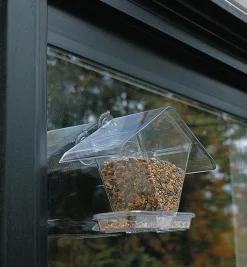 Window Bird Feeder