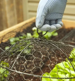 Wire Plant Protectors