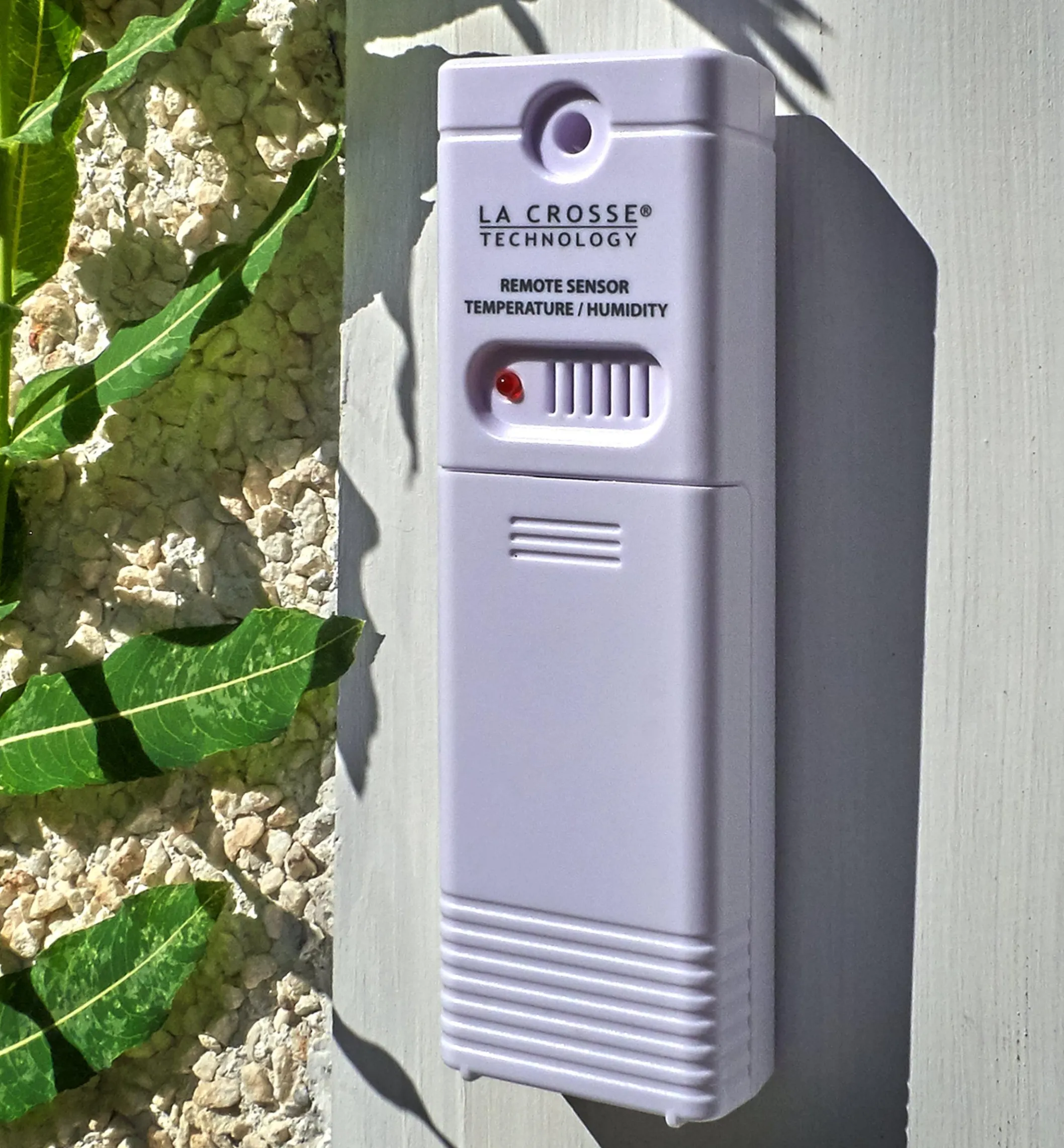 Wireless Color Forecast Station