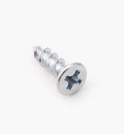 Zinc-Plated Hinge Screws